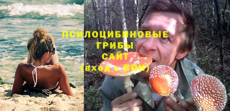 Псилоцибиновые грибы Magic Shrooms  Барнаул 